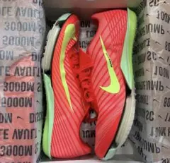 Item thumbnail for item d2ff6817-98db-4141-bbcd-e22c934aa615