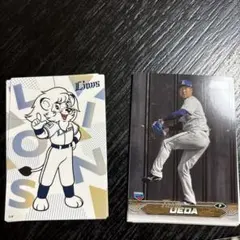 プロ野球 トレーディングカードセット
