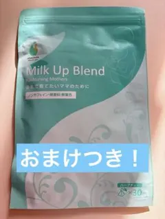 Item thumbnail for item 4e95625c-c58d-48d1-8186-a75879cdc8ac