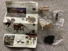 Item thumbnail for item 4921f23f-51f6-4ca7-a1bd-507d24d55dd2