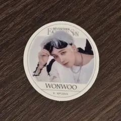 SEVENTEEN ウォヌ ランダムシール