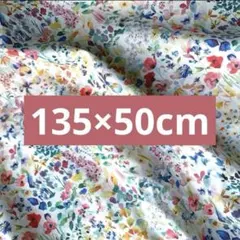 輸入タナローン★リバティ★LIBERTY★フェルダ★Bonpoint起用柄