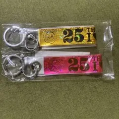 安室奈美恵 25th Anniversary 銀テープキーホルダー ２つ