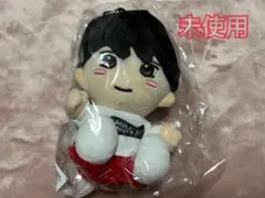 2026年最新】末澤誠也 ちびぬいの人気アイテム - メルカリ