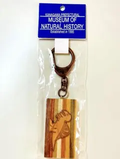 激レア　新品　神奈川県立生命の星・地球博物館　キーホルダー