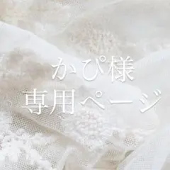 かぴ様専用ページ