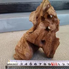 Item thumbnail for item 0ad87757-efca-45d1-9d8b-7eb408f4d0b0