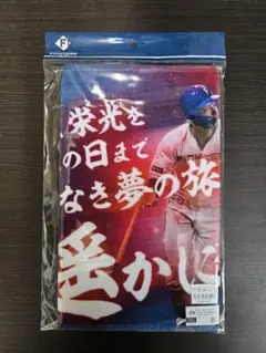 水野達稀　応援歌タオル　北海道日本ハムファイターズ