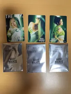BODY MAINTÉ タレントカード 4枚セット