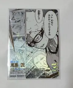 ハイキュー バボカ 最強の挑戦者 頂Ｐ 月島蛍