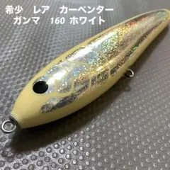 カーペンター　γ-gamma160 H 245mm トカラSP スペシャル カーペンター γ-gamma160 H 245mm トカラSP スペシャル
