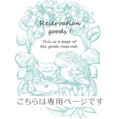 あけちゃん様 リクエスト 3点 まとめ商品