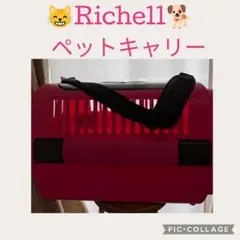 Richell リッチェル ペットキャリー 大型のサムネイル