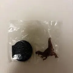 カプセル恐竜フィギュア 福井県立恐竜博物館