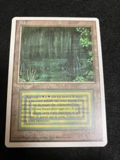 Bayou 3ED イタリア語 晴れる屋関西宝物庫】 店内『極』ショーケースに《Bayou》イタリア語