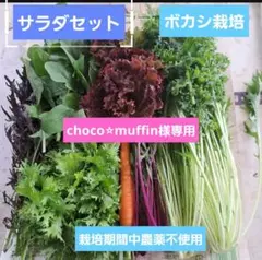 choco⭐︎muffin様専用！ボカシ栽培の栽培期間中農薬不使用！サラダセット