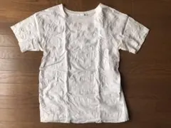 WRレディース半袖Tシャツのサムネイル