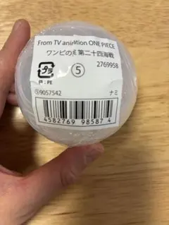 ワンピース　ワンピの実　第二十四海戦　 ナミ