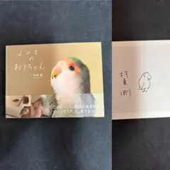 鳥かごシーツ 敷紙 HOEI 35用 - メルカリ