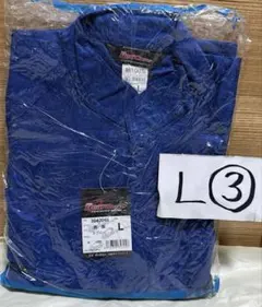 Item thumbnail for item a1ce276c-6a3c-4bcf-8e2e-d0a80981d0f8