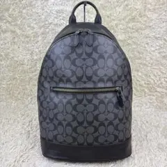 未使用に近い COACH シグネチャー バックパック リュックサック 78756