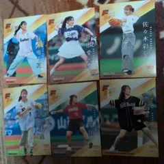 bbm 始球式 カード　FUSION 2025　6枚セット