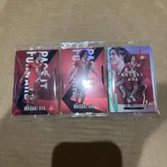 Item thumbnail for item df4823f2-2cd6-4879-a788-d507d3b87d6e