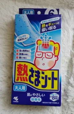 熱さまシート 大人用 冷却シート 肌にやさしい 弱酸性 小林製薬 6枚のサムネイル