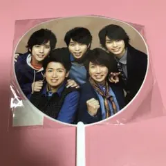 嵐 LOVE 2013ライブ ミニうちわ　激レア