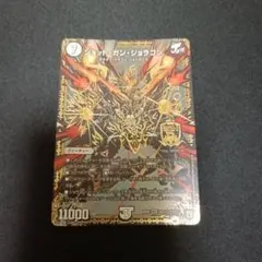 ジョットガンジョラゴン 黒シク①