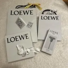 2026年最新】loewe 空箱の人気アイテム - メルカリ