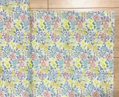 Item thumbnail for item 255b5d4a-1f61-46e4-9c78-2926c1147a77