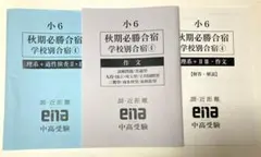 ena 小6 九段中等コース 日曜特訓 - メルカリ