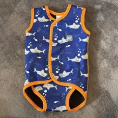 Item thumbnail for item 193de300-67b6-4b94-9dc3-1a4ee7fd3922