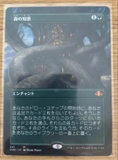 MTG 日本語 納墓 サインド signed ドミナリアリマスター ポーダーレス