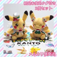 希少 激レア ピカチュウポンチョ メガデンリュウ メガサーナイト