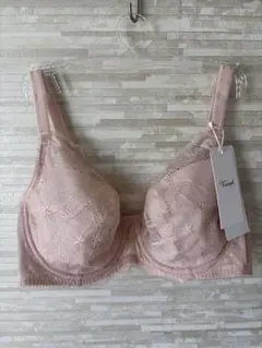 E95」トリンプ 美胸ホールドブラ フルカップブラジャー