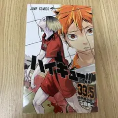 ハイキュー!!33.5巻 ゴミ捨て場の決戦