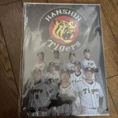 阪神タイガース/Hanshin Tigers ファイル　未使用品