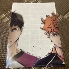 ハイキュー クリアファイル ガチャ 牛島若利 日向翔陽