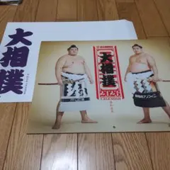 Item thumbnail for item ea2afe60-da2a-4d6f-8cb0-2de52f150699