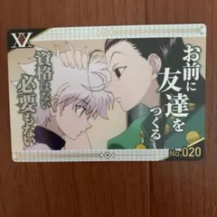 HUNTER×HUNTER h×h イルミ キルア 銀だこ