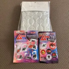 月刊ムー アクリルカラビナ 缶バッジ 圧着キルト 3点セット