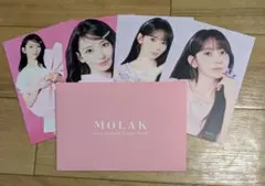 MOLAK モラク Le Sserafim 宮脇咲良　サクラ　ポストカード