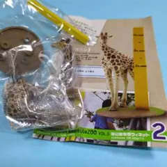 ④旭川動物園ヴィネット（アミメキリン）