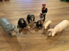 Item thumbnail for item 3b47663f-f84d-4e09-8a14-0f3e104fd3a5