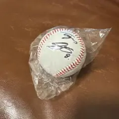 阪神タイガース　佐藤輝明選手　直筆サインボール