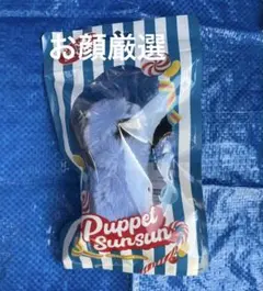 パペットスンスン candy store 限定パッケージマスコット ぬいぐるみ