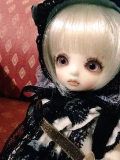2025年最新】ROSEN LIED limitedの人気アイテム - メルカリ