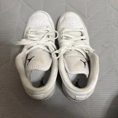 Item thumbnail for item 233fc77c-339f-48ec-8c45-a50ca63ec034